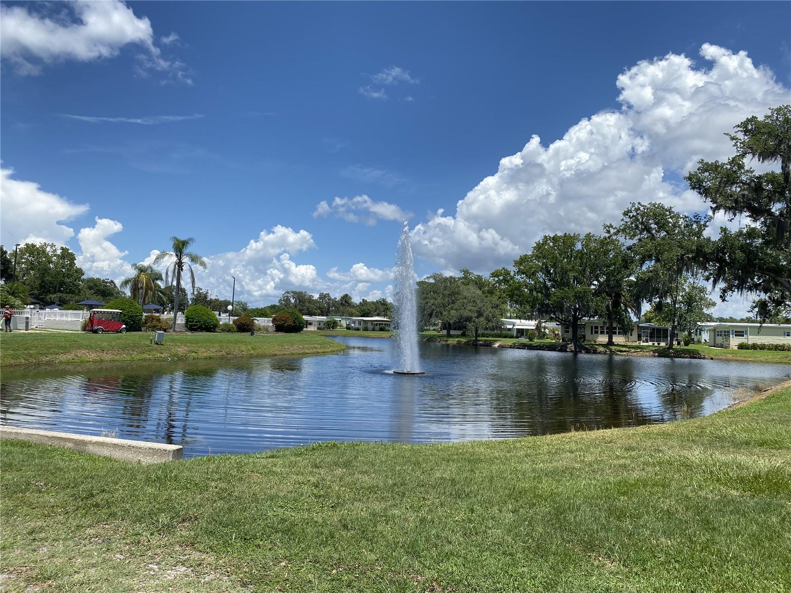 Image 38 of 100 For 164 Royal Palm Drive