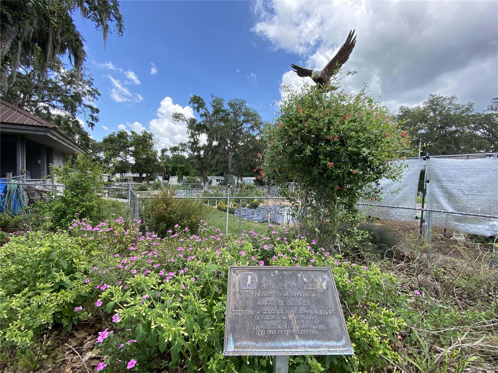 Image 84 of 100 For 164 Royal Palm Drive