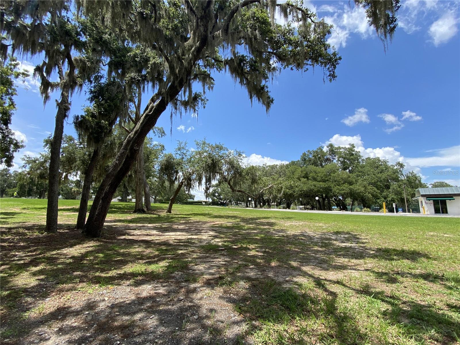 Image 91 of 100 For 164 Royal Palm Drive
