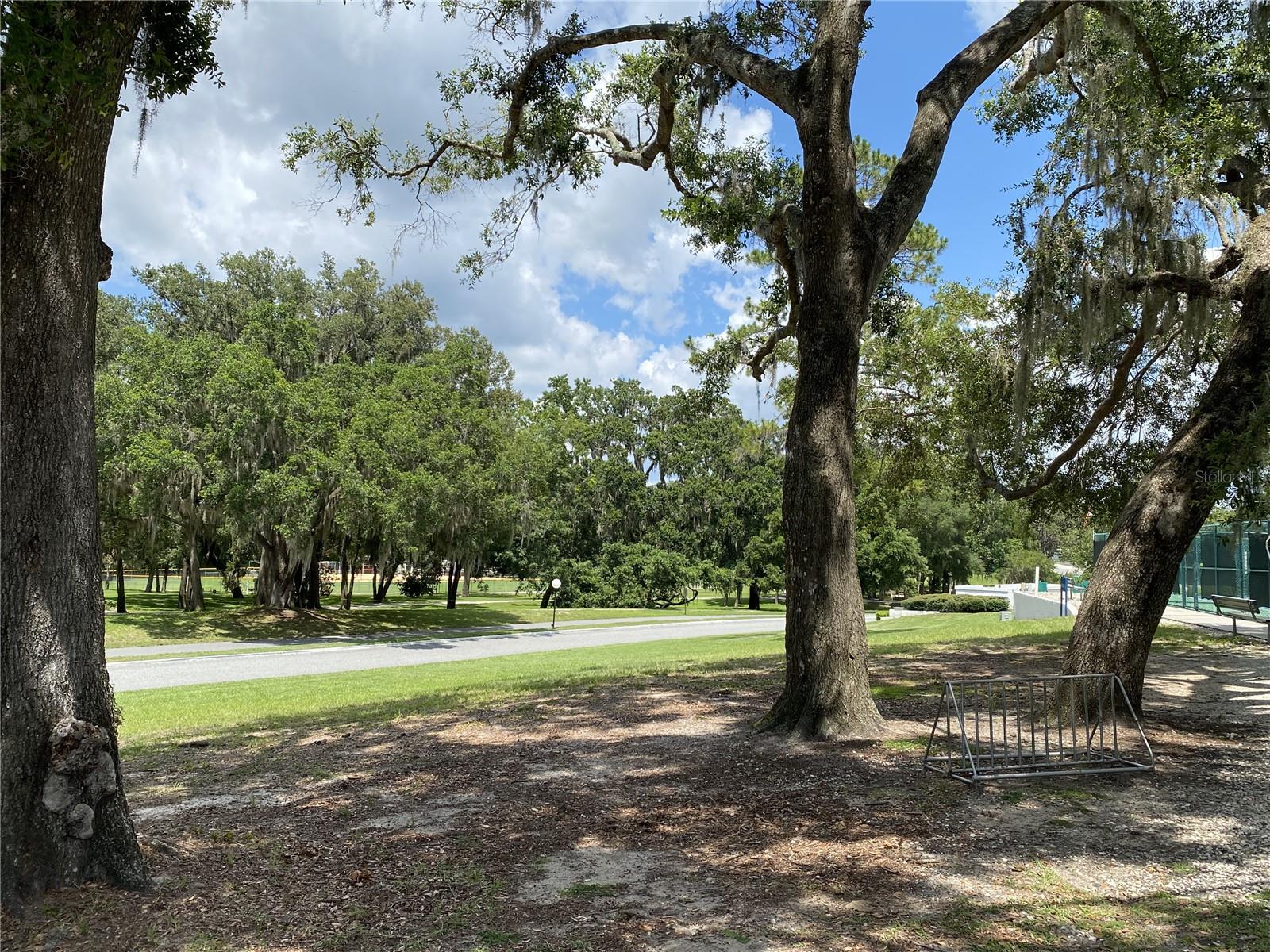 Image 94 of 100 For 164 Royal Palm Drive