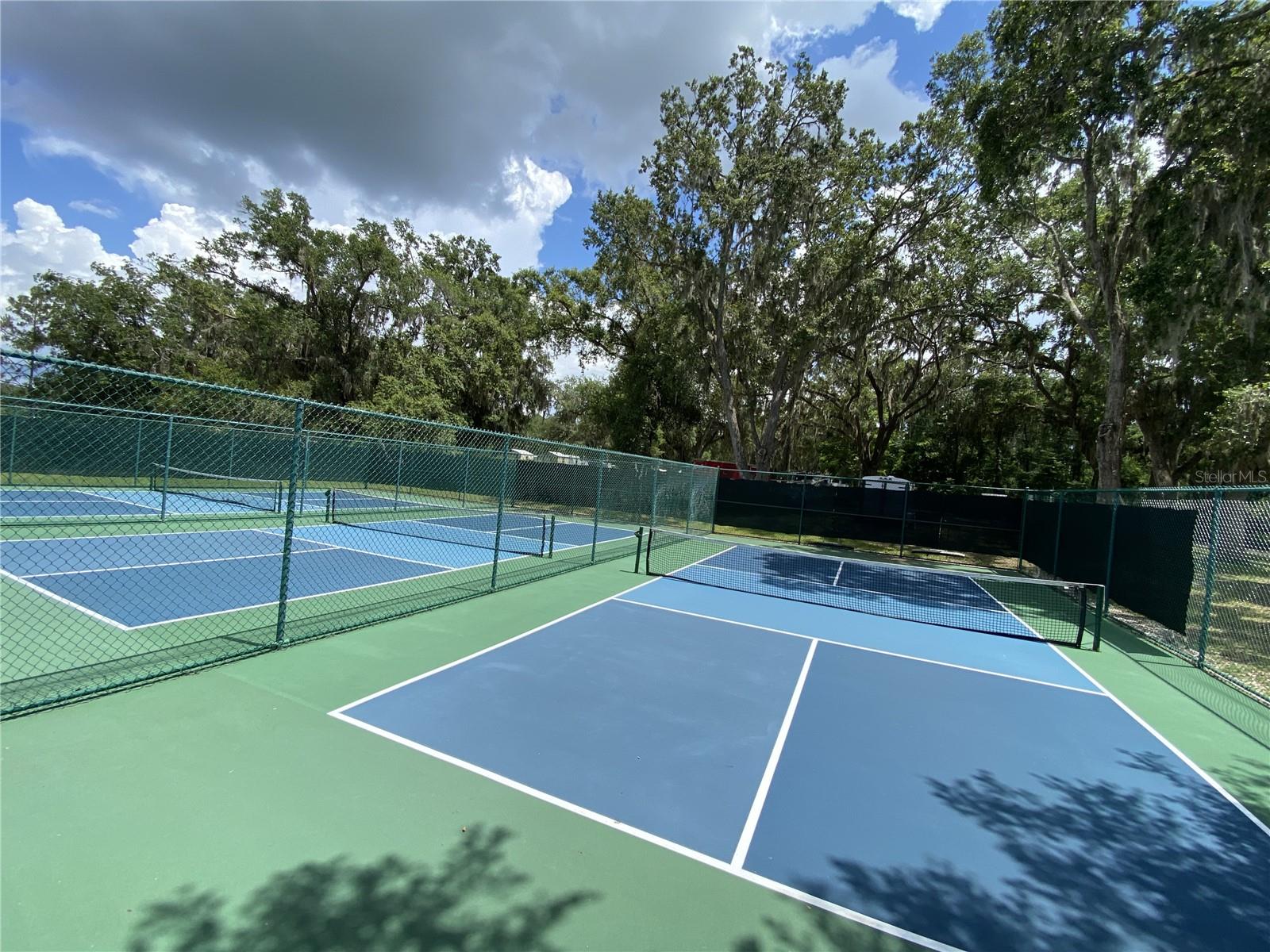 Image 98 of 100 For 164 Royal Palm Drive