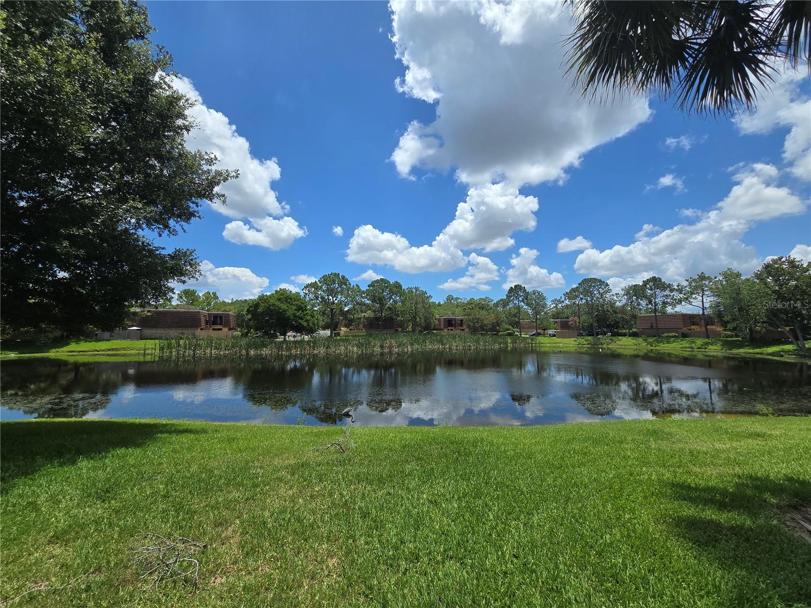 Image 2 of 27 For 5288 Cypress Court 439