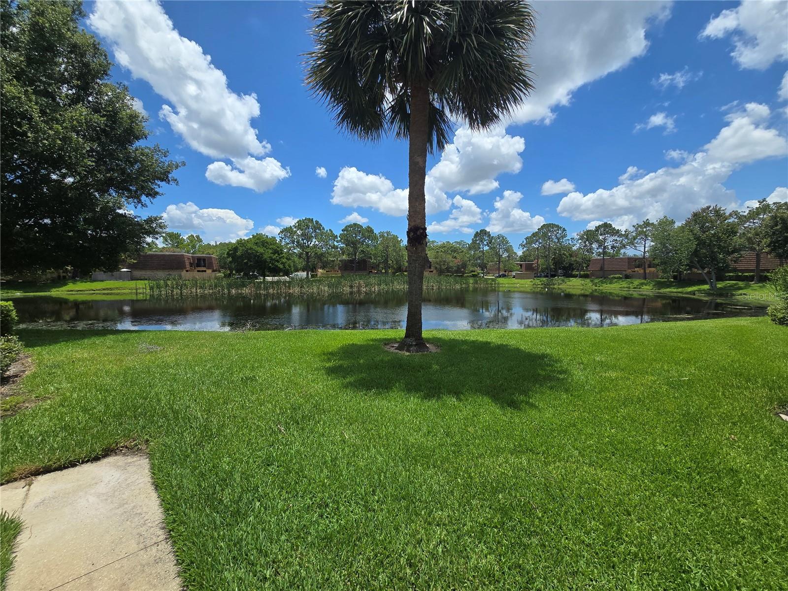 Image 3 of 27 For 5288 Cypress Court 439