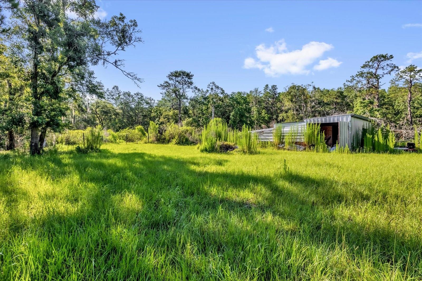 Image 18 of 25 For 36424 County Road 439
