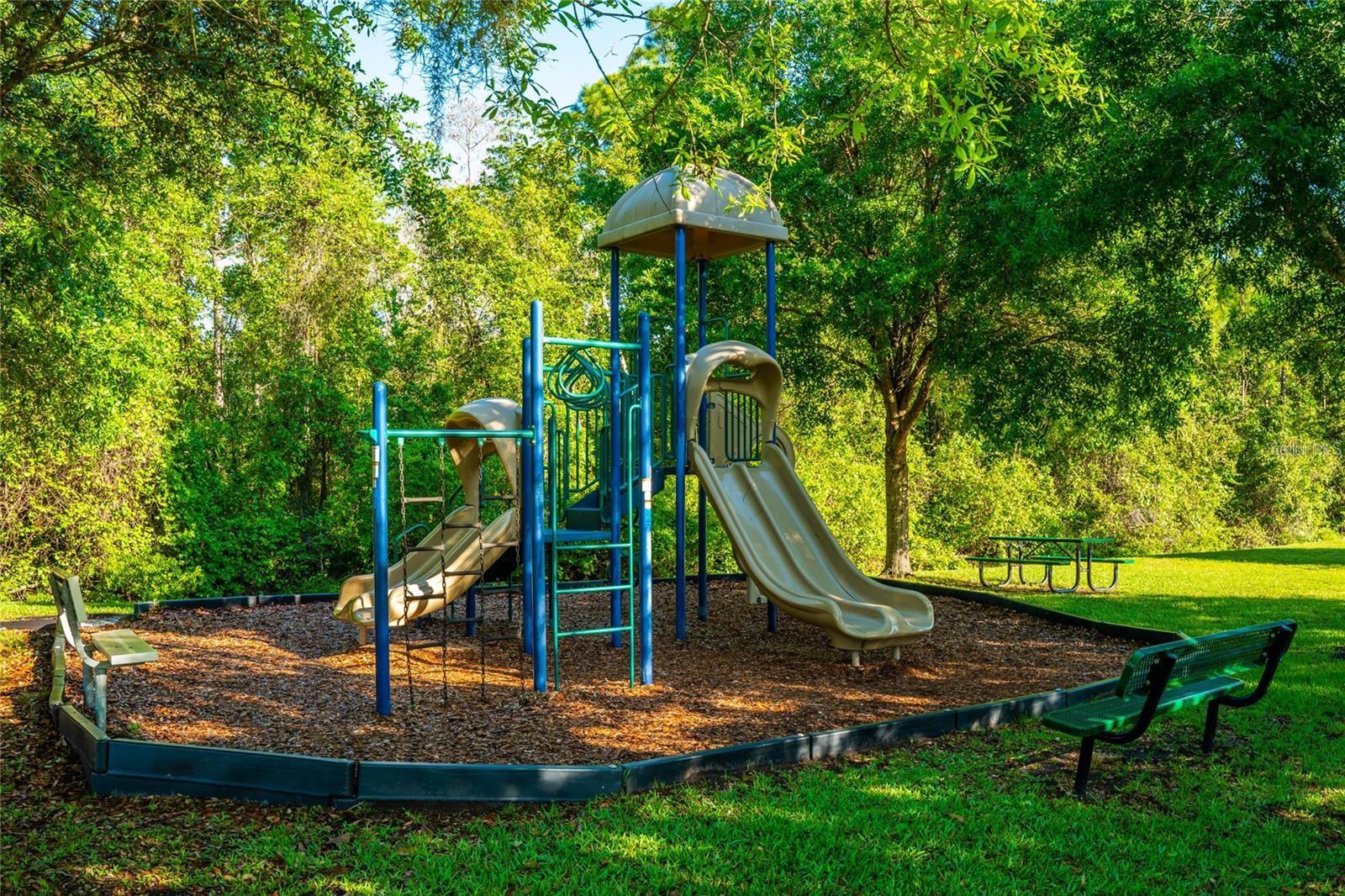 Image 31 of 32 For 113 San Mardeen Court