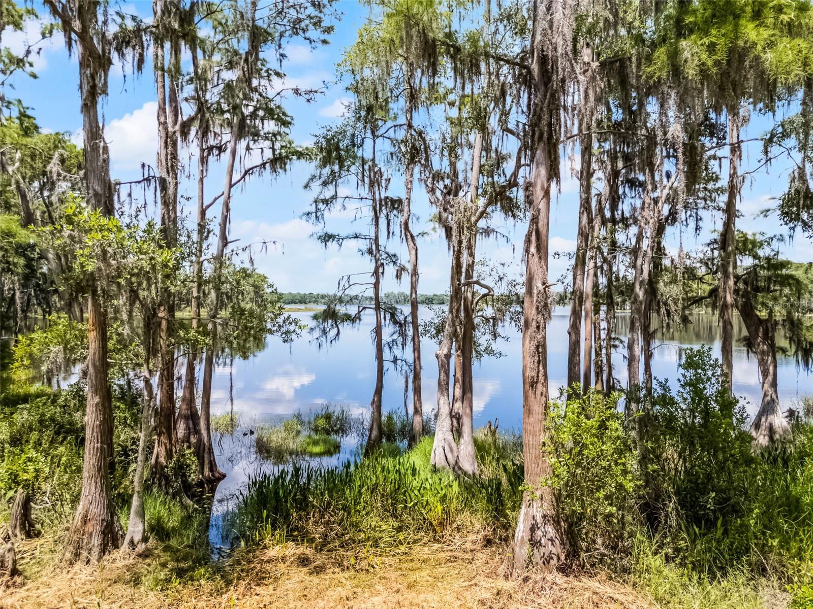 Image 31 of 39 For 9642 Florida Boys Ranch Road