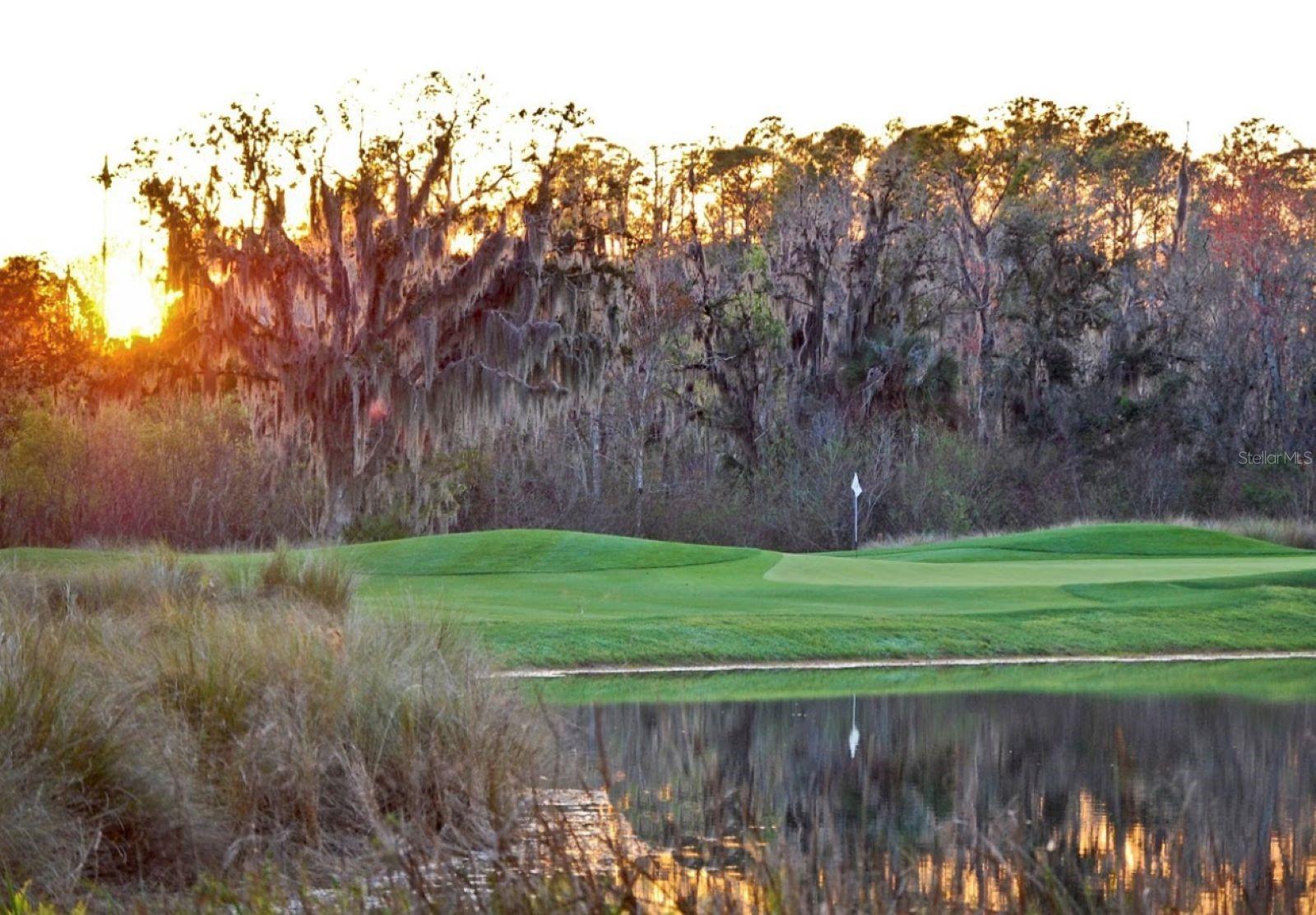 Image 59 of 70 For 506 Mirasol Circle 202