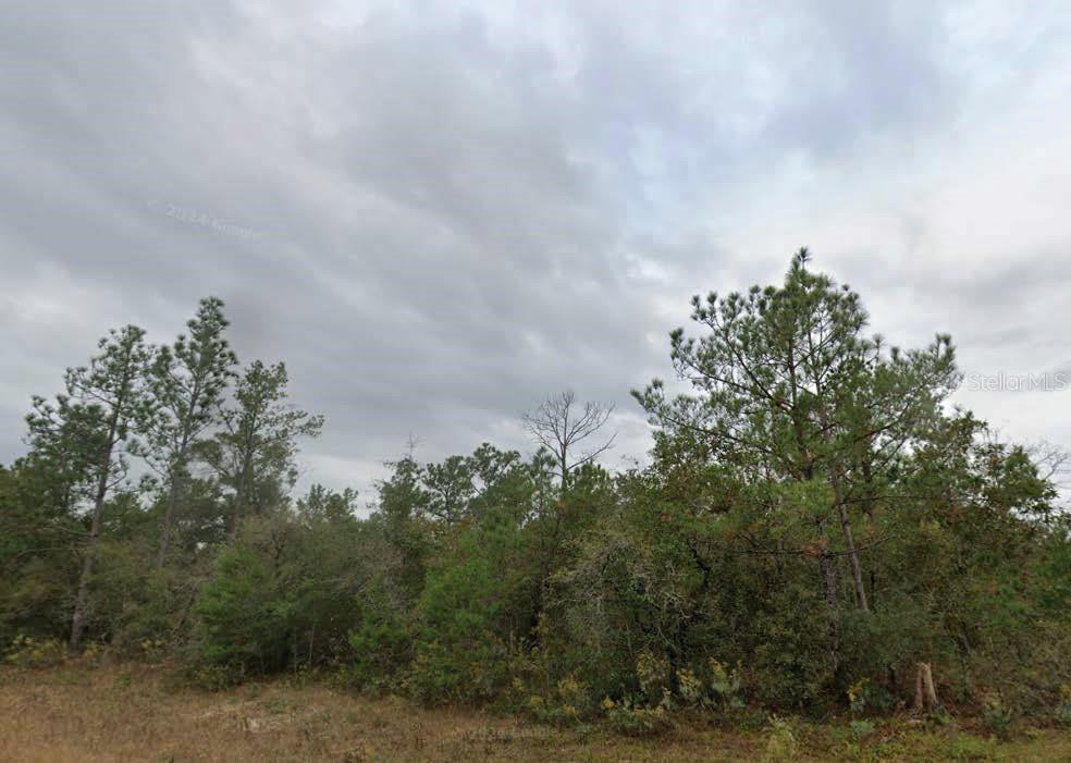Details for Drumlin Street, CHIPLEY, FL 32428