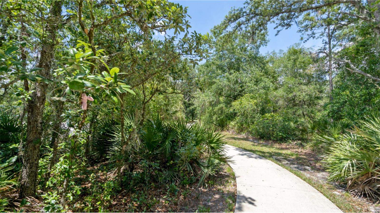 Image 19 of 19 For 7334 Ivy Tendril Avenue