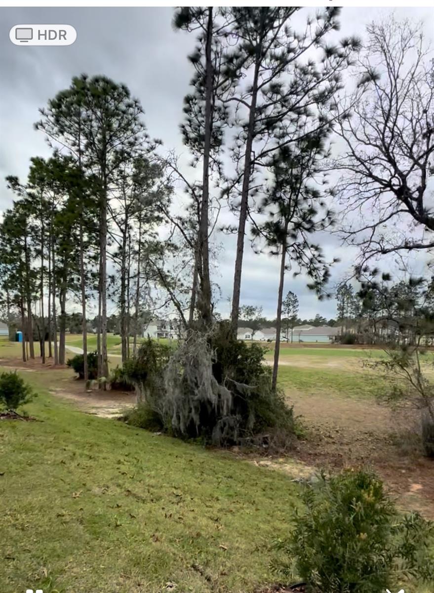 Image 16 of 16 For 133 Hickory Course Circle