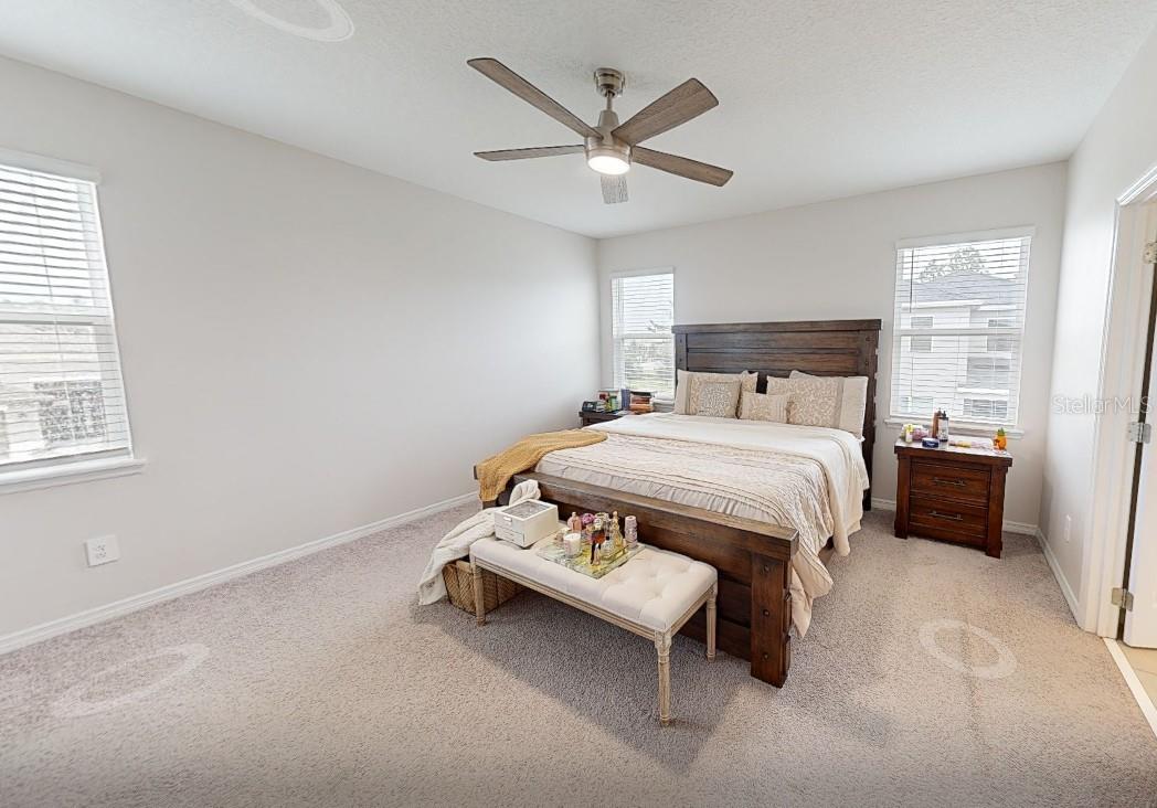 Image 50 of 50 For 1259 Pando Loop