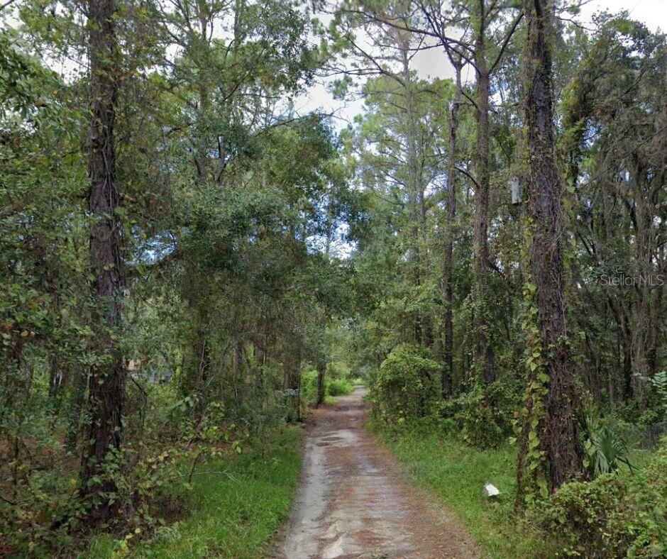 Image 14 of 30 For 0 Posen Street