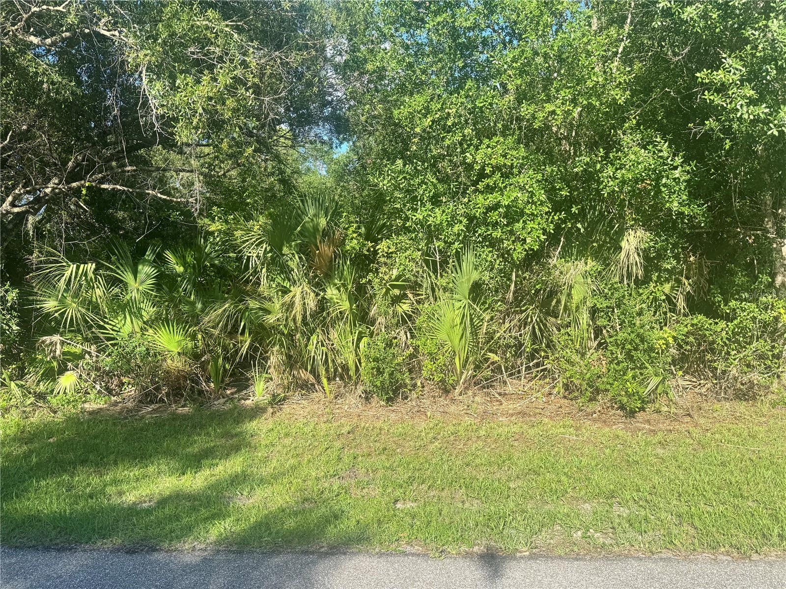 Listing Details for 3462 Mentone Street, PUNTA GORDA, FL 33980