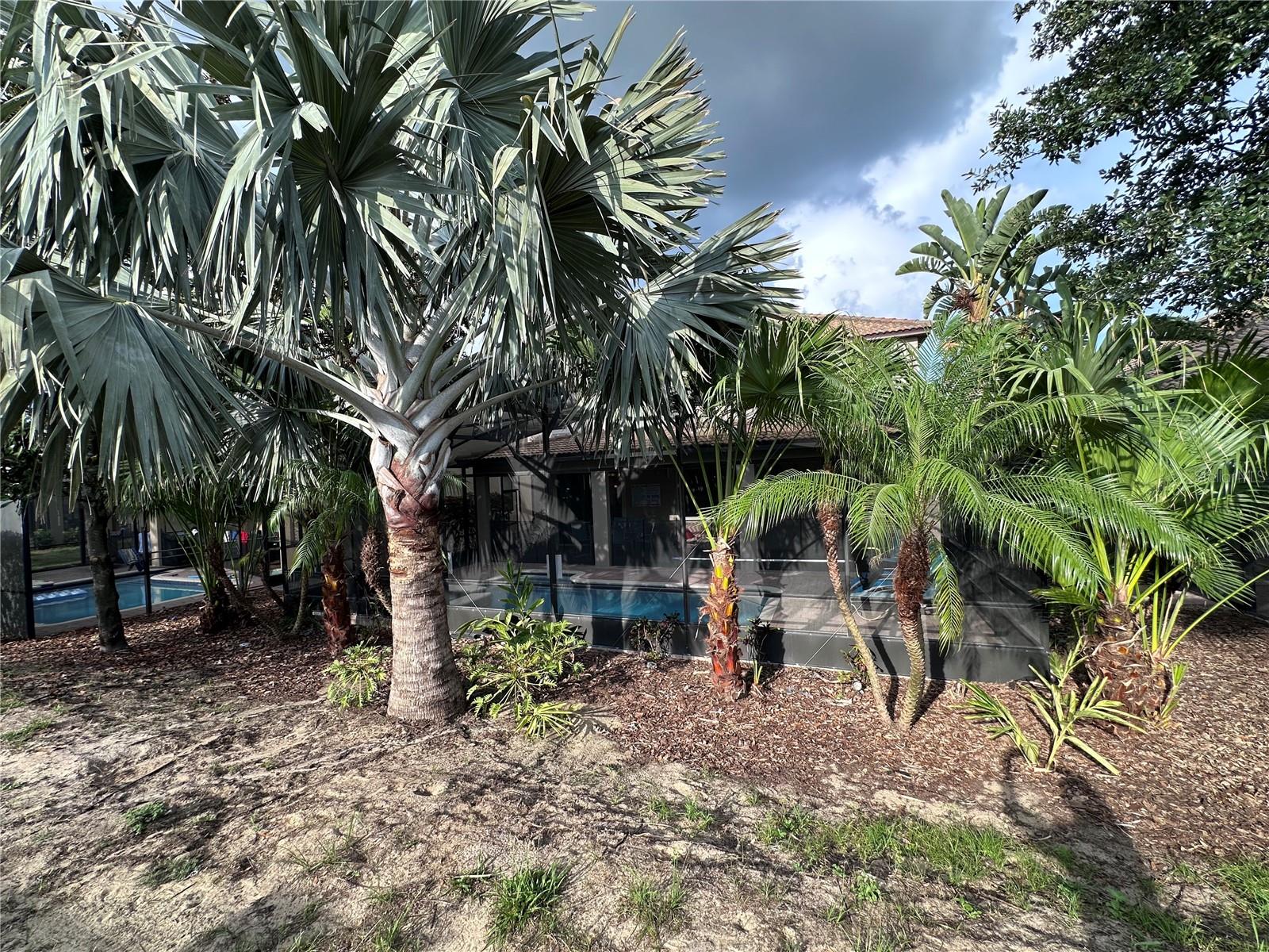 Image 77 of 93 For 1452 Moon Valley Drive