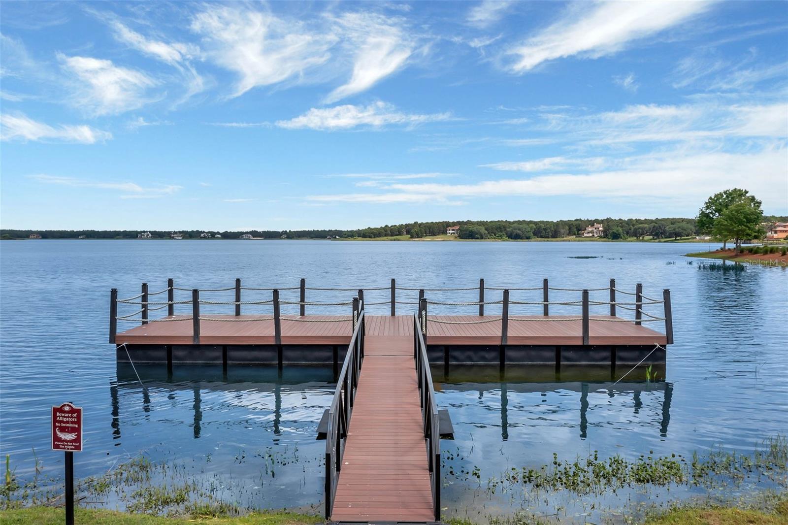 Image 65 of 69 For 16808 Bolsena Drive