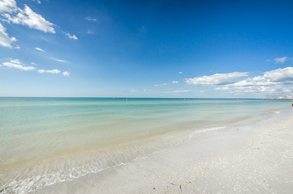 Image 47 of 60 For 1621 Gulf Boulevard 1106