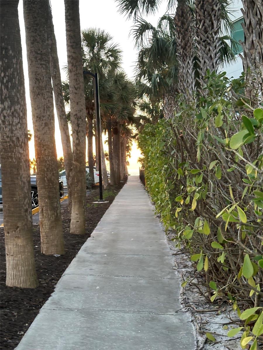 Image 48 of 60 For 1621 Gulf Boulevard 1106