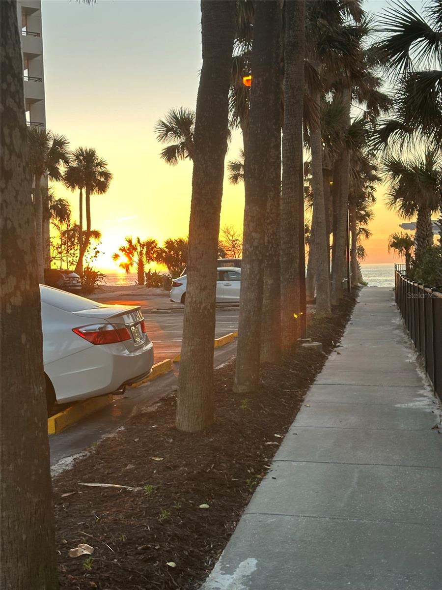 Image 49 of 60 For 1621 Gulf Boulevard 1106