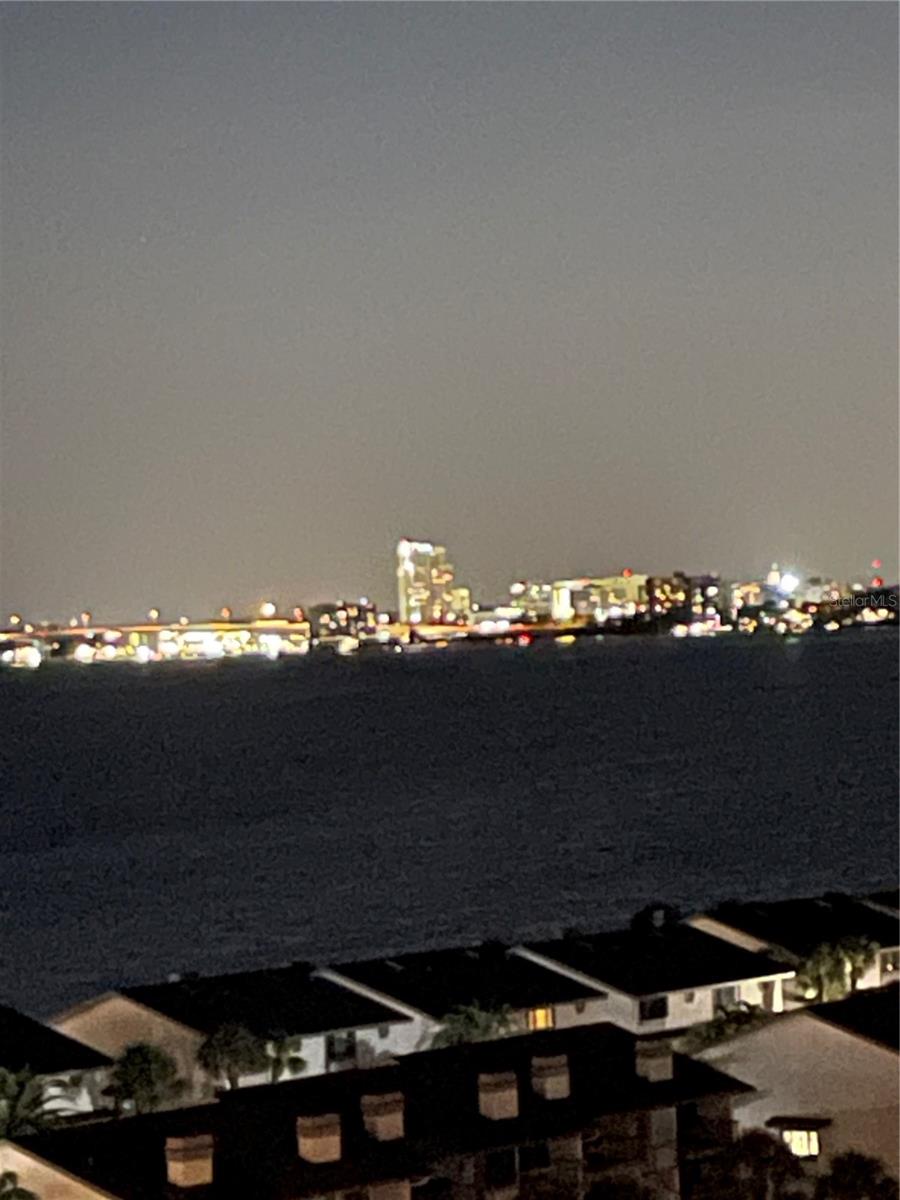 Image 54 of 60 For 1621 Gulf Boulevard 1106