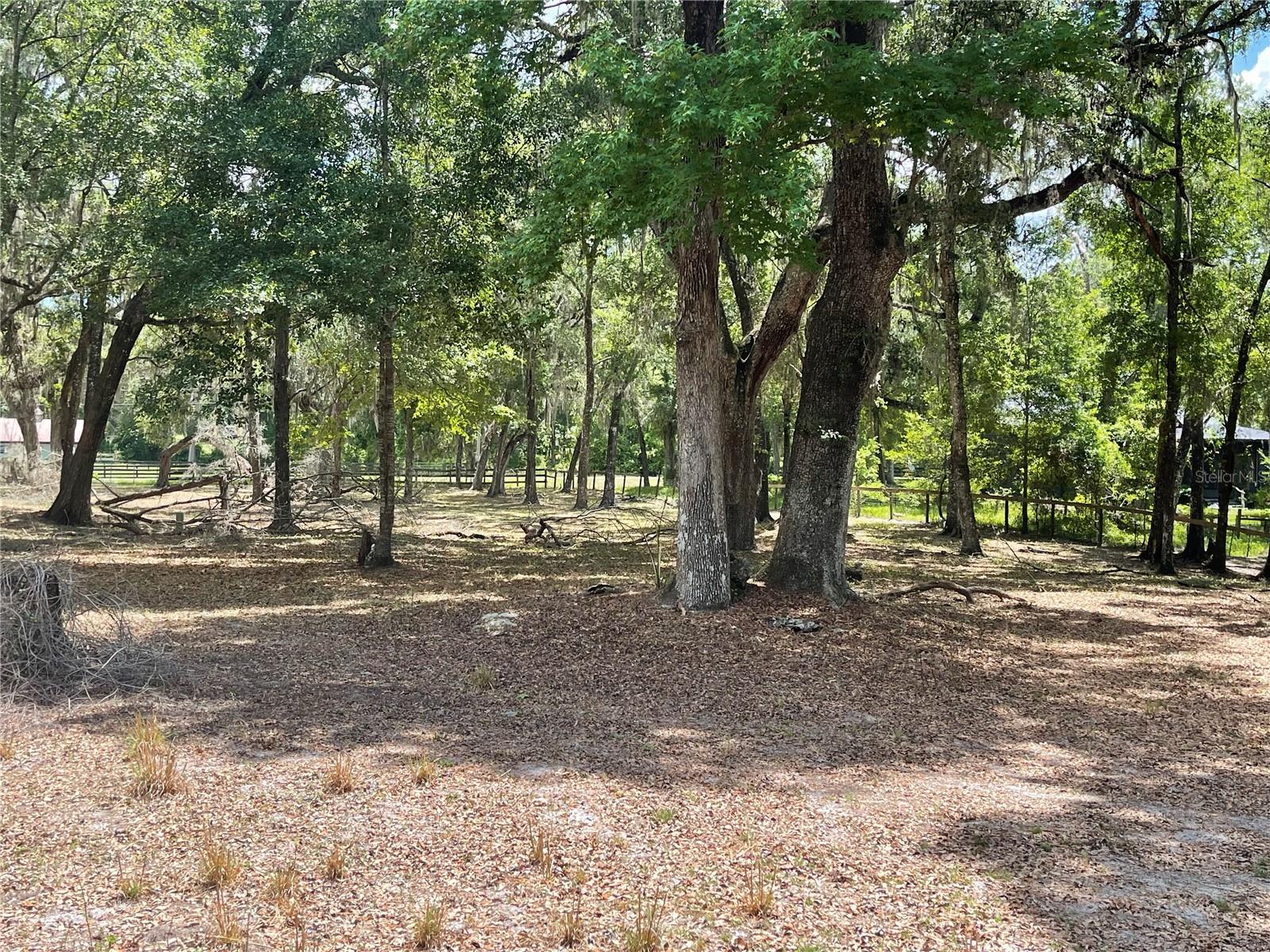 Listing photo id 12 for 63 Lake Wood Circle