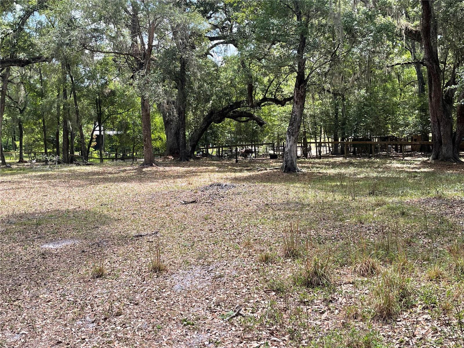 Listing photo id 13 for 63 Lake Wood Circle