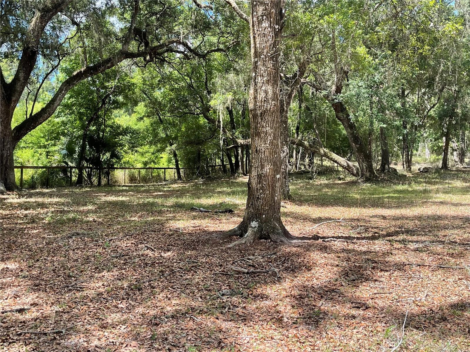 Listing photo id 15 for 63 Lake Wood Circle