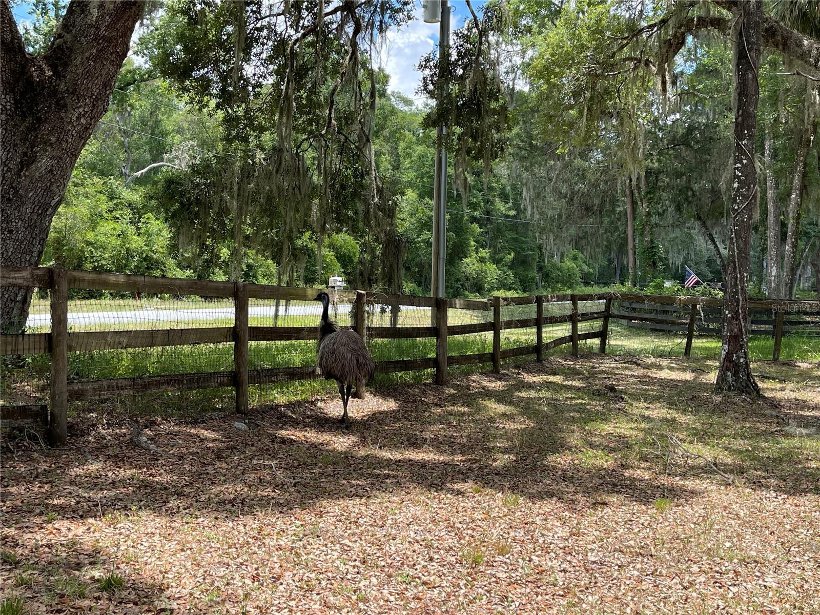 Listing photo id 16 for 63 Lake Wood Circle