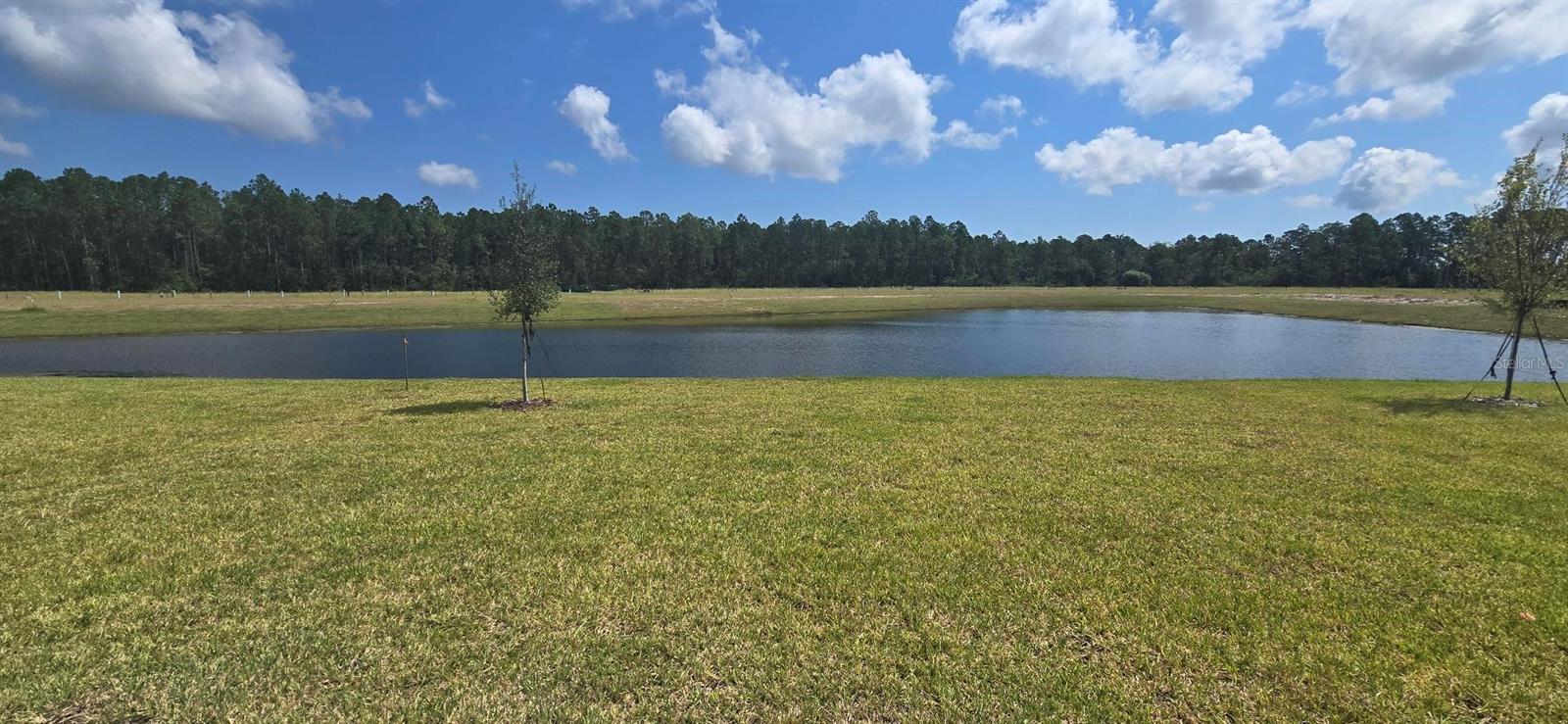 Image 5 of 40 For 33 Derbyshire Drive