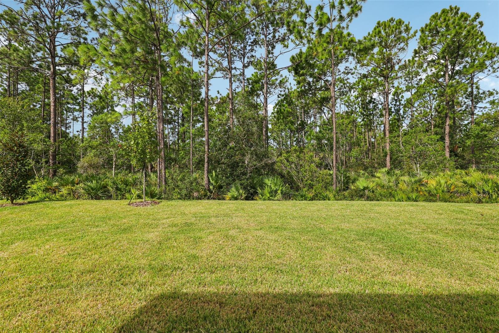 Image 40 of 45 For 38 Derbyshire Drive