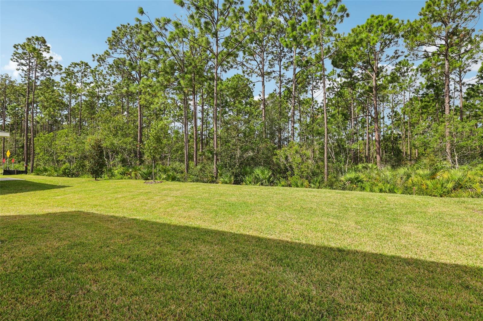 Image 41 of 45 For 38 Derbyshire Drive