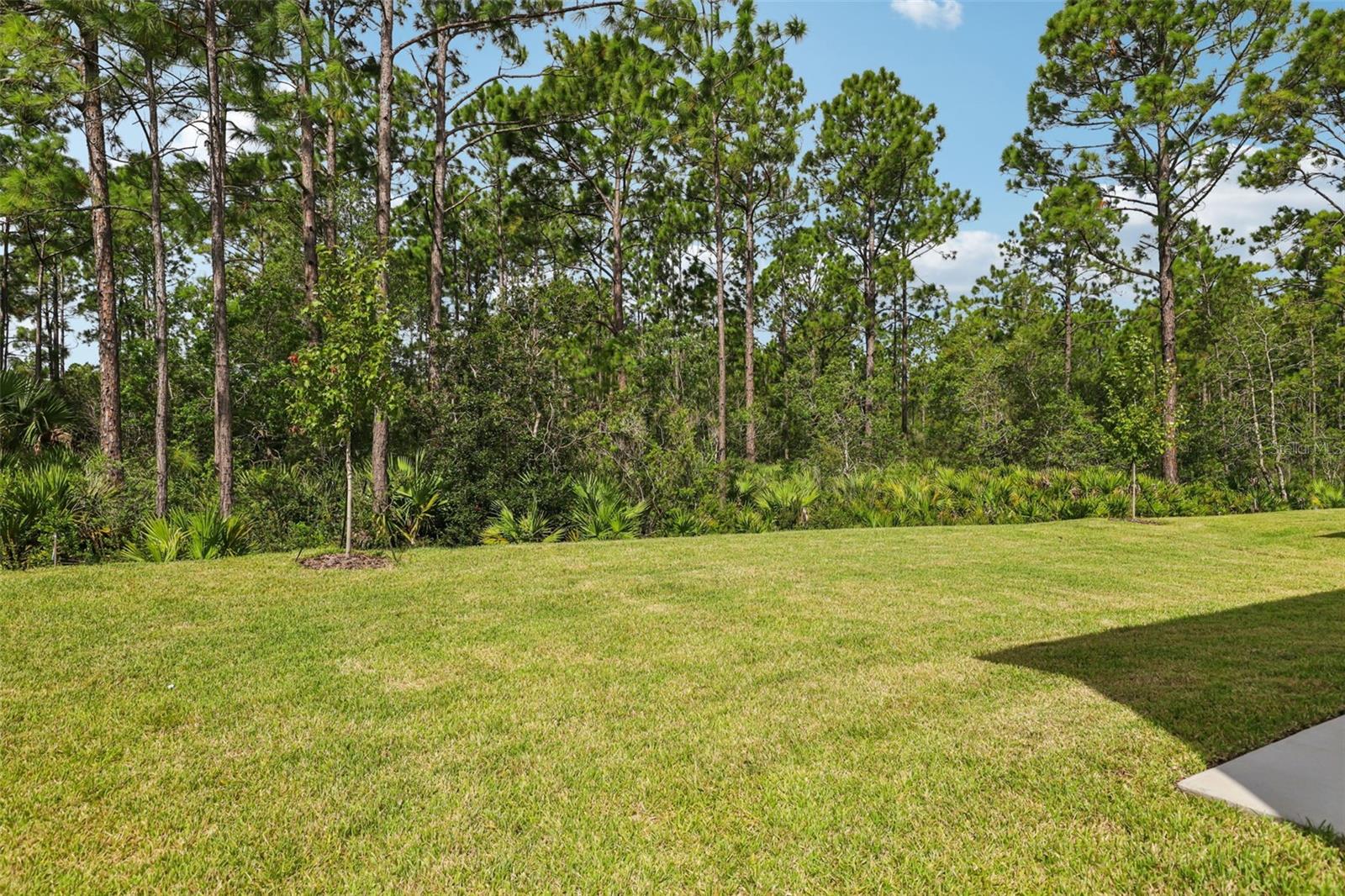 Image 5 of 45 For 38 Derbyshire Drive