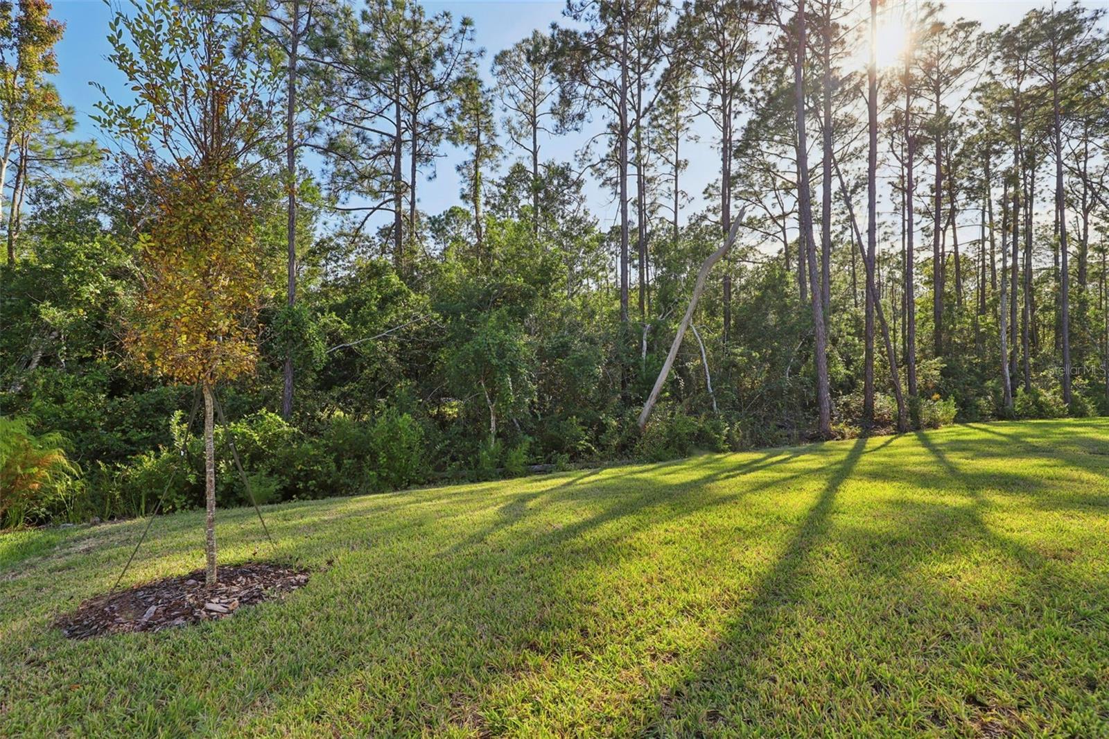 Image 22 of 28 For 23 Dilly Court