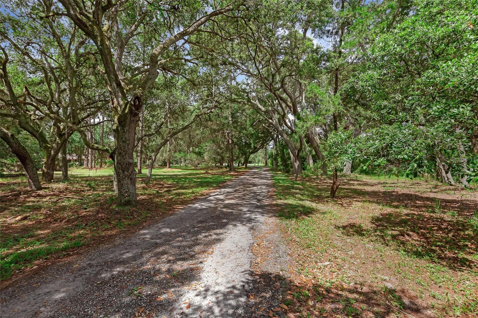 Image 68 of 100 For 2630 Tanner Road