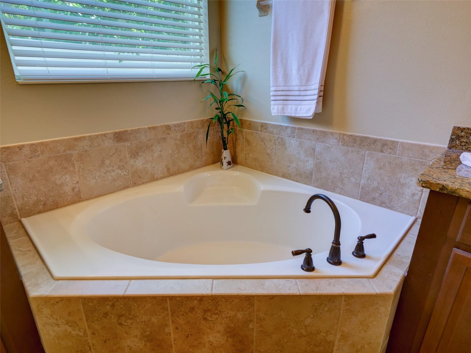 Image 35 of 49 For 12832 Sawgrass Pine Circle