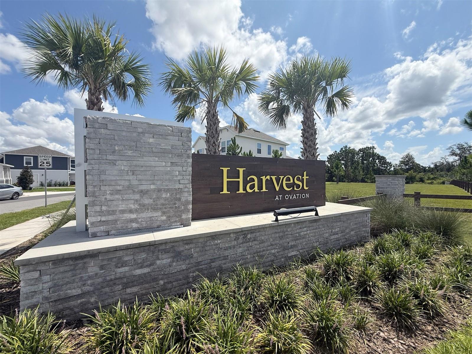 Image 32 of 51 For 15133 Summer Harvest Street