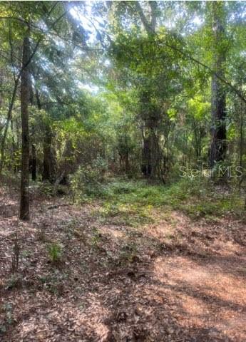 Details for 0 J&j Lane , QUINCY, FL 32351