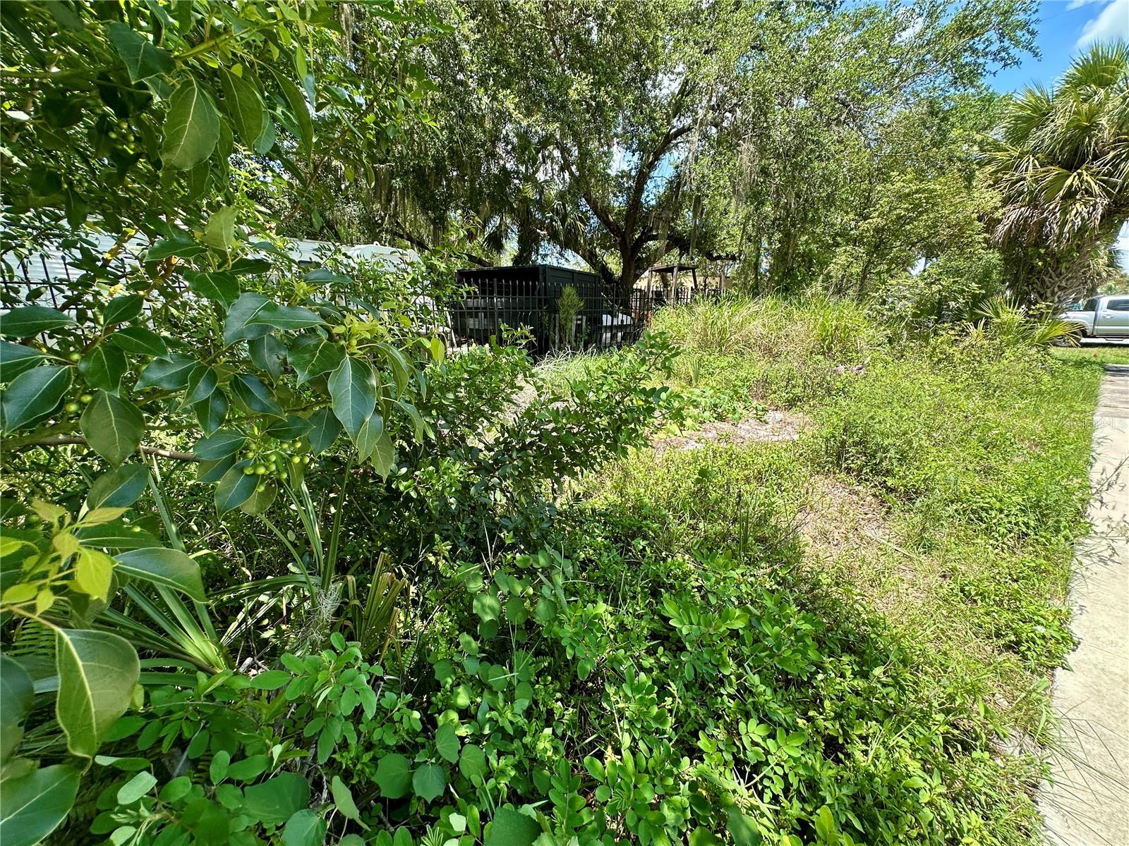 Details for 1546 Immocalee Street, INTERCESSION CITY, FL 33848