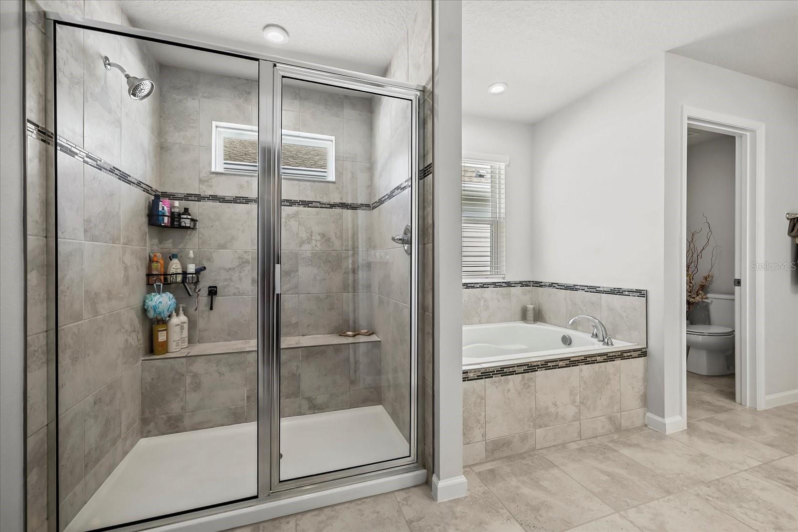 Image 18 of 35 For 16564 Silversaw Palm Drive