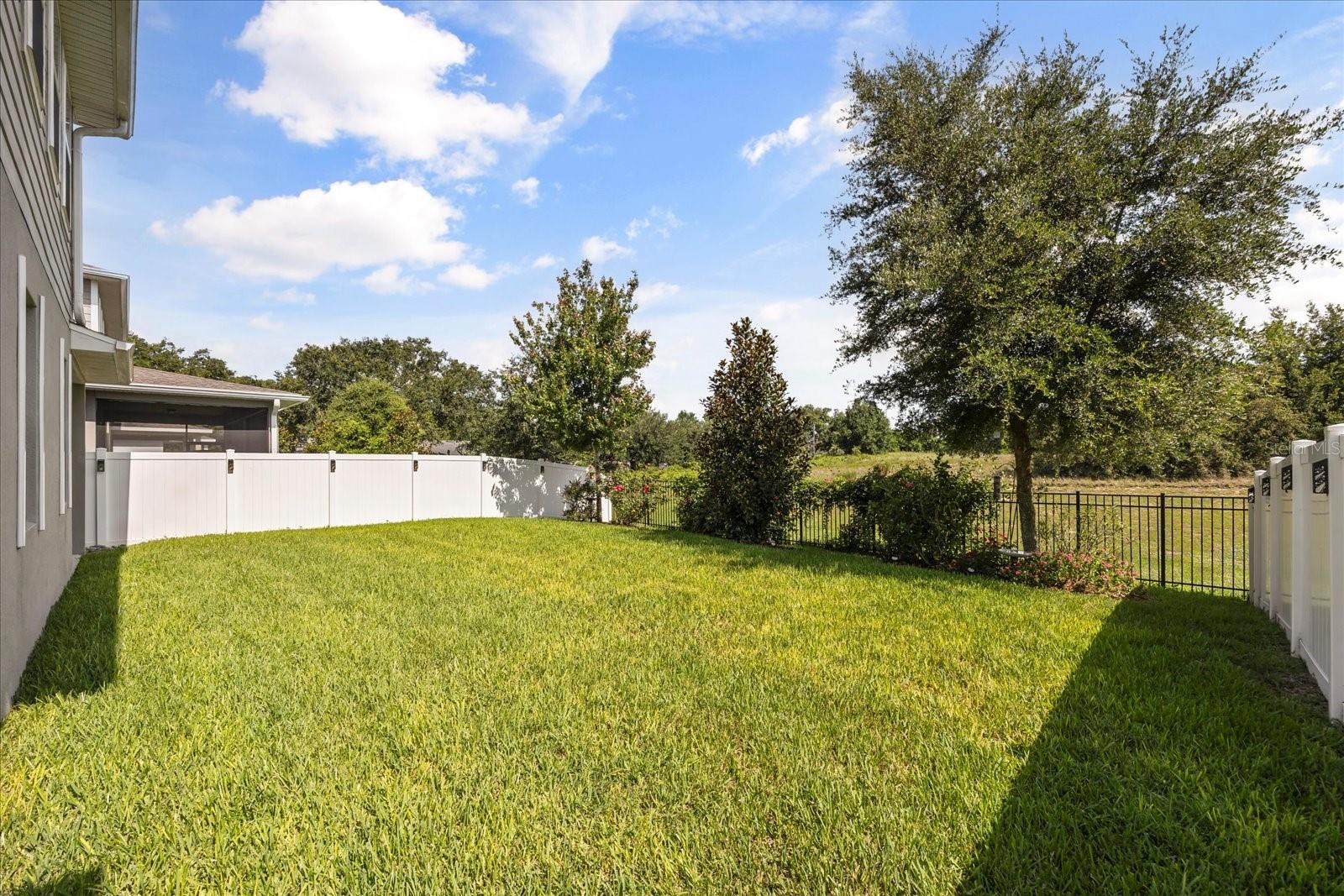 Image 28 of 35 For 16564 Silversaw Palm Drive