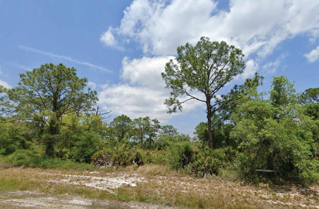 Listing Details for 1822 Washington Boulevard Nw, LAKE PLACID, FL 33852