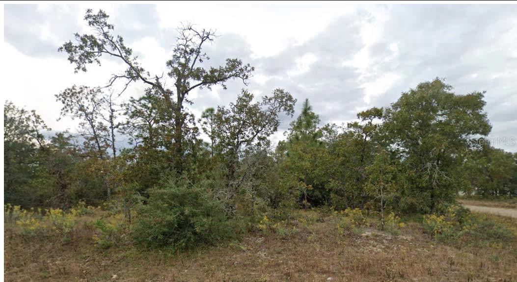 Details for Esmont Avenue, CHIPLEY, FL 32428