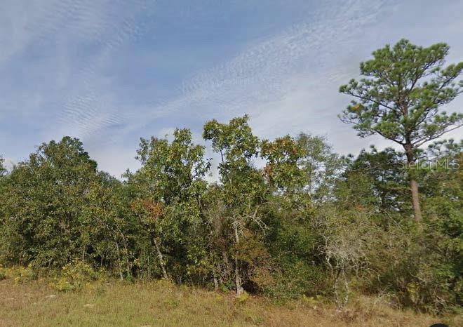 Details for Melshire Drive, CHIPLEY, FL 32428