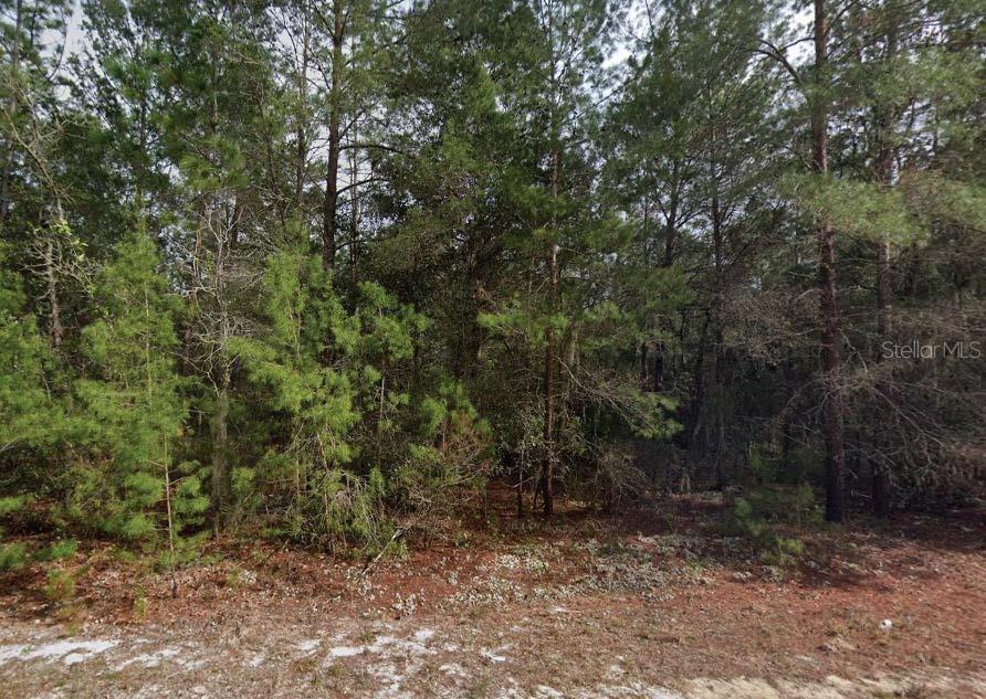 Details for Theresa Avenue, INTERLACHEN, FL 32148