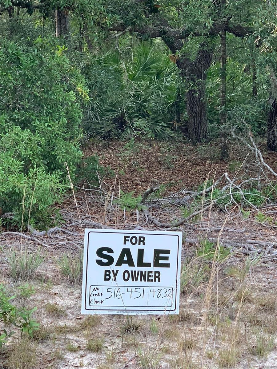 Details for Terrell Street, INTERLACHEN, FL 32148