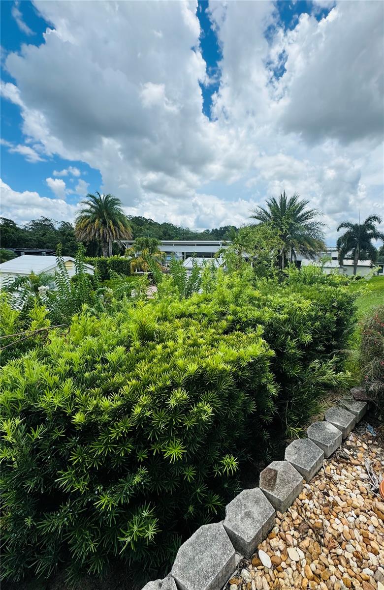 Image 15 of 53 For 1115 Deer Creek Boulevard
