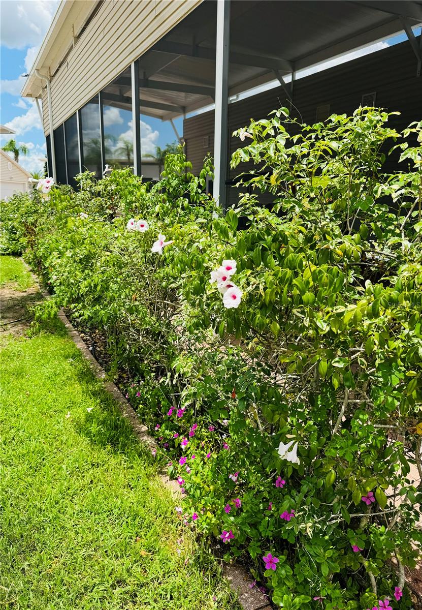 Image 30 of 53 For 1115 Deer Creek Boulevard