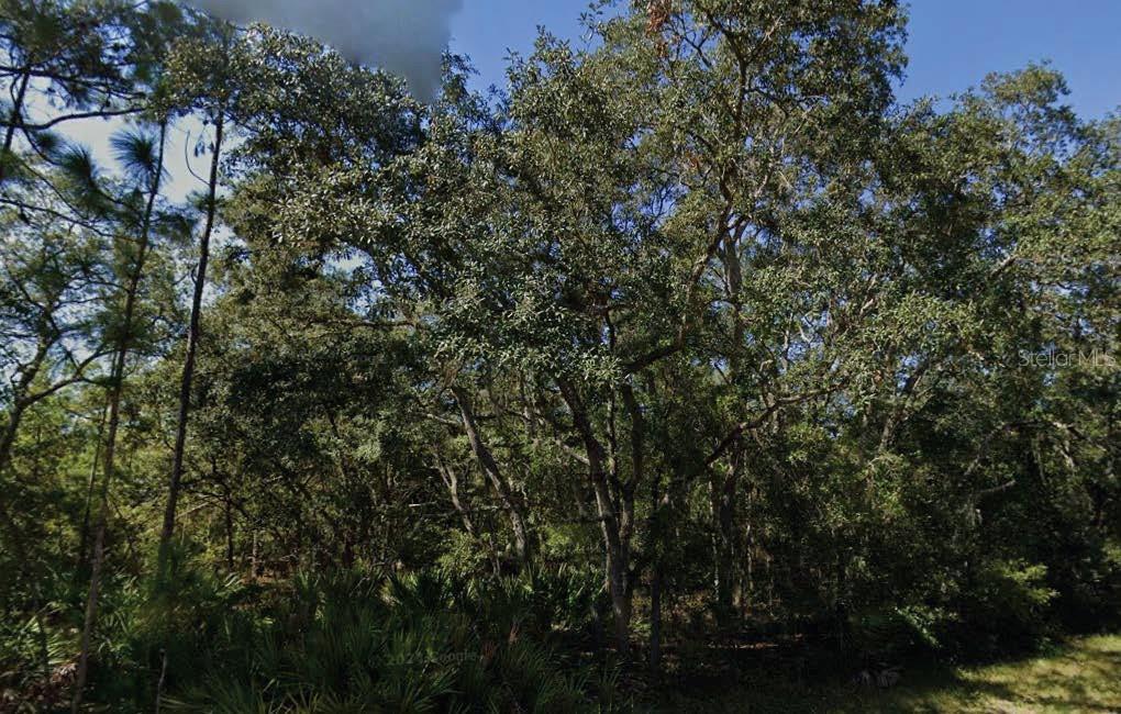 Details for Theresa Avenue, INTERLACHEN, FL 32148