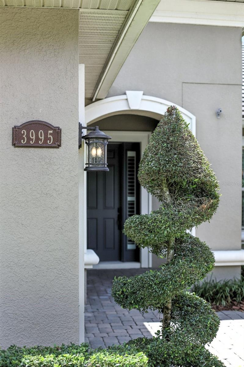 Image 6 of 82 For 3995 Equine Cove