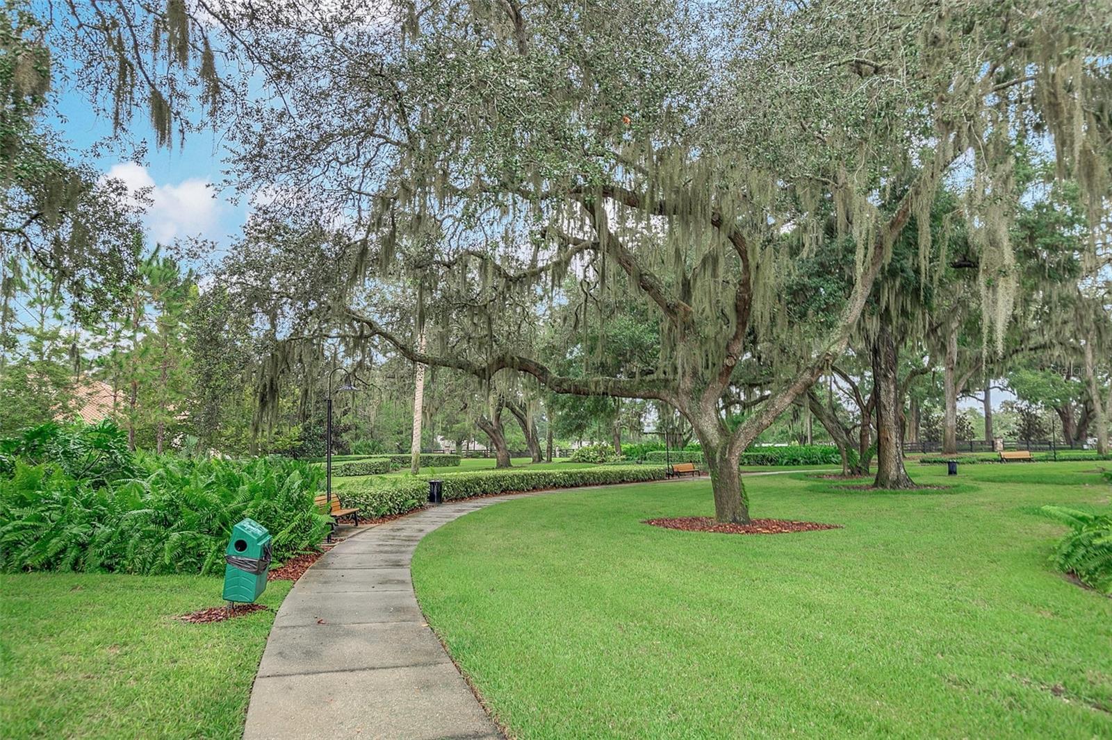 Image 77 of 82 For 3995 Equine Cove