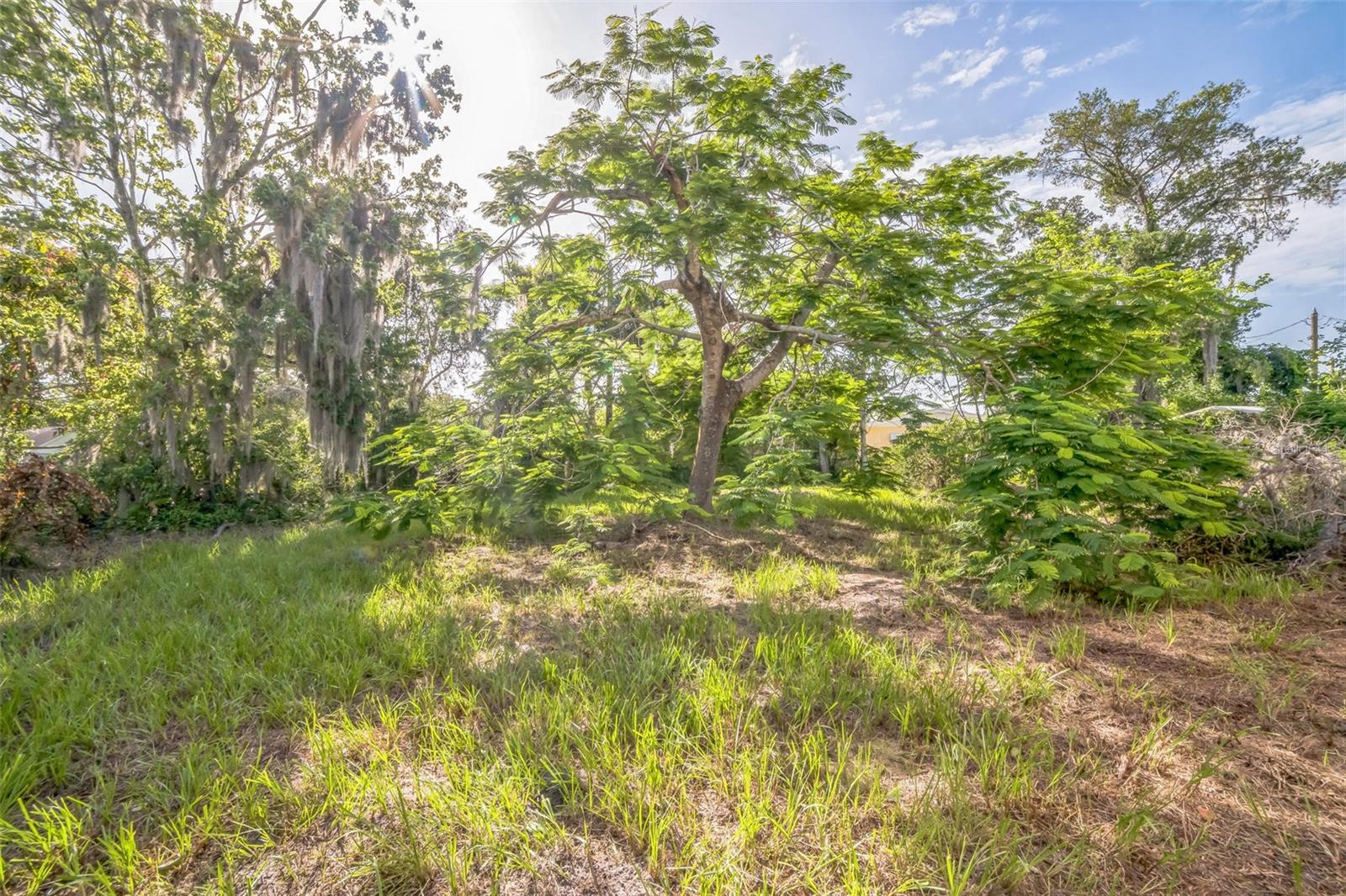 Image 36 of 40 For 5527 Sandalwood Drive